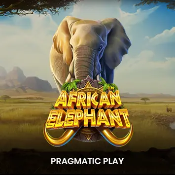 African Elephant